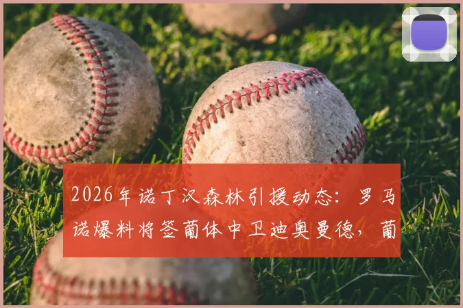 2026年诺丁汉森林引援动态：罗马诺爆料将签葡体中卫迪奥曼德，葡体已锁定替代者（附球员身价与技术解析）
