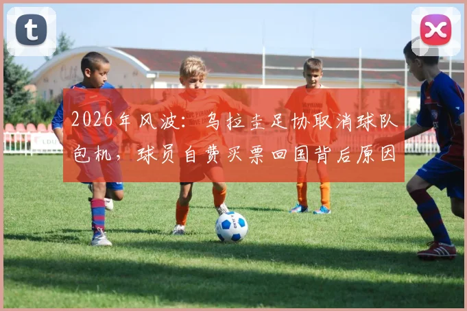 2026年风波：乌拉圭足协取消球队包机，球员自费买票回国背后原因分析